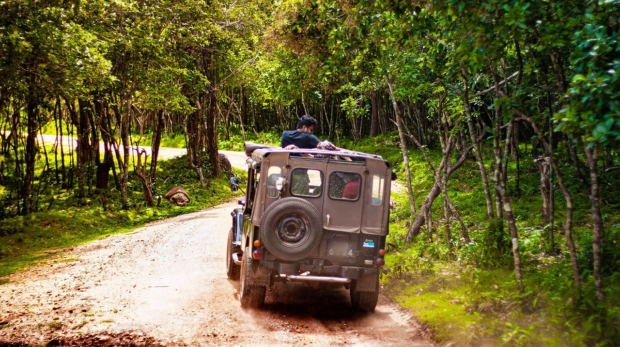 5 Reasons Car Leasing is Perfect for Travelers